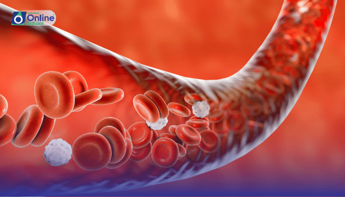 Lesson 12: Form Meets Function: Specialized Cells and Open Systems